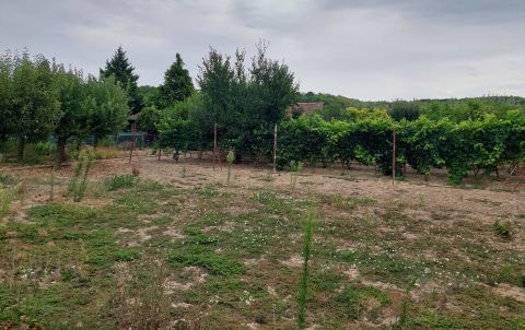 Eladó Telek 7476 Kaposszerdahely , *** Petőfi utca, 802 Nm-es, lakóövezeti telek