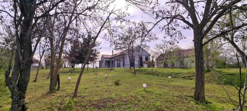 Eladó Ház 6066 Tiszaalpár Történelmi rangú luxusrezidencia a Holt-Tisza ölelésében