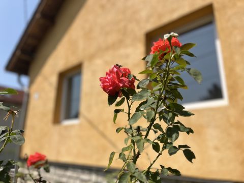 Eladó Ház 8200 Veszprém , belváros közelében, kertvárosi környezetben