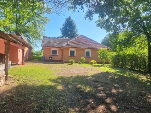 Eladó Ház 2243 Kóka , Csendes utcában 