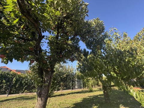 Eladó Telek 8086 Felcsút PANORÁMÁS telek Felcsúton
