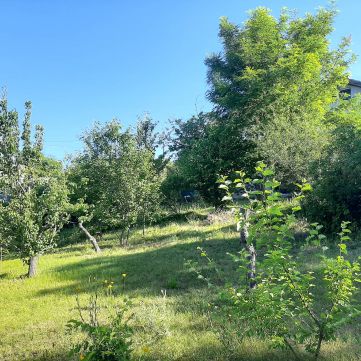 Eladó Telek 2113 Erdőkertes 
