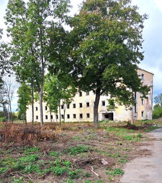 Eladó Telek 8225 Szentkirályszabadja 