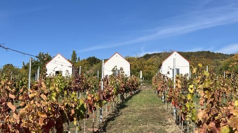 Eladó Ház 8229 Paloznak , Paloznak