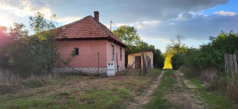 Eladó Ház 2212 Csévharaszt 