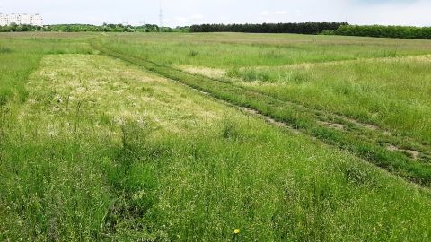 Eladó Telek 1152 Budapest 15. kerület 