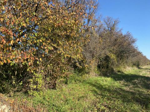 Eladó Telek 8045 Isztimér 