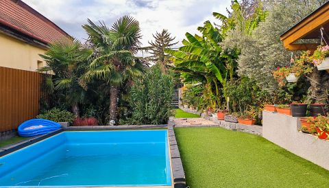 Eladó Ház 2340 Kiskunlacháza Újszerű 7 szobás Luxus ingatlan, pálma fákkal a kertben!