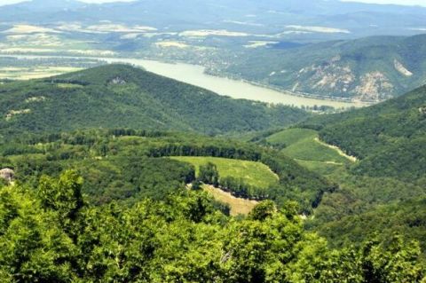 Eladó Telek 2000 Szentendre , Szentendre, Szarvashegy Belterület 10199/1 helyrajzi szám