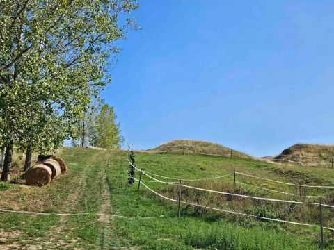 Eladó Mezőgazdasági 2697 Szanda 