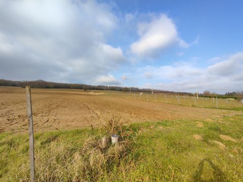 Eladó Telek 8394 Alsópáhok 