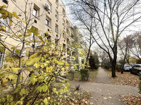 Eladó Lakás 1214 Budapest 21. kerület 