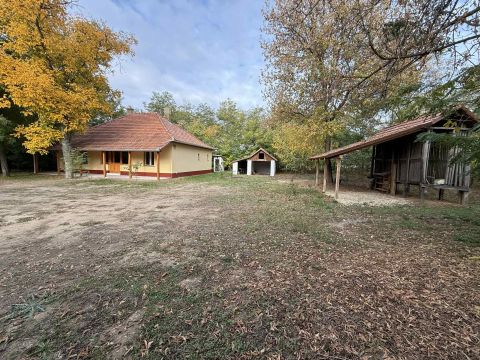 Eladó Ház 6050 Lajosmizse Nappali + 3 szobás tanya 6700 m2 területtel