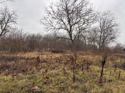 Eladó Telek 2162 Őrbottyán Csaendes utcában építési telek eladó