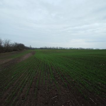 Eladó Telek 2213 Monorierdő , Monorierdő Bénye közt