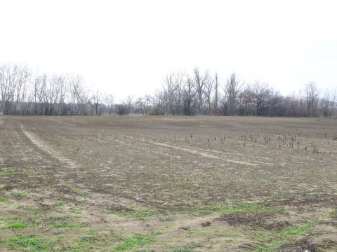 Eladó Telek 2721 Pilis Monorierdő és Pilis közt a 4 es út mellett