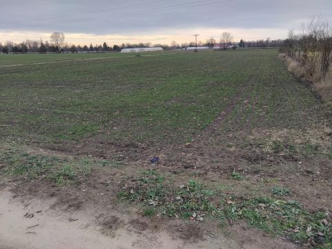 Eladó Telek 6000 Kecskemét , Kecskeméten mezőgazdasági telkek eladók a Hunyadivárosban