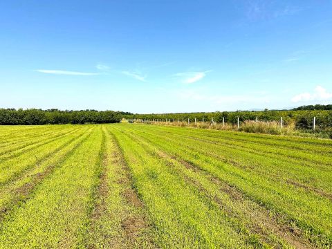 Eladó Mezőgazdasági 3015 Csány 