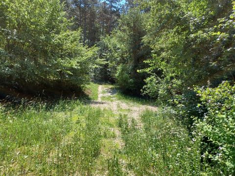 Eladó Telek 8230 Balatonfüred Béke utca küzeli