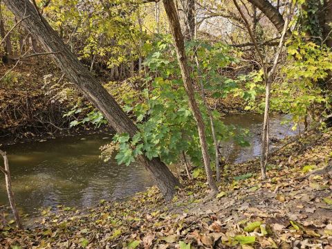 Eladó Ház 2038 Sóskút , 2038 Sóskút, Zöldövezeti