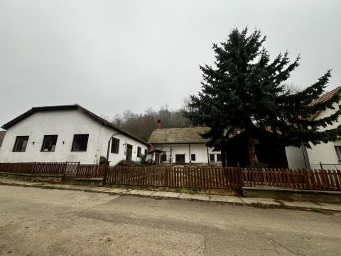 Eladó Üzlethelyiség 7695 Ófalu 