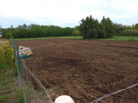 Eladó Telek 8143 Sárszentmihály , Maroshegyi zártkertek