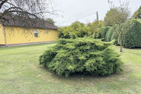 Eladó Ház 8852 Zákány Zákányban kertes családi ház eladó! 