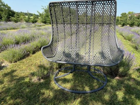 Eladó Általános 7720 Pécsvárad Pécsvárad