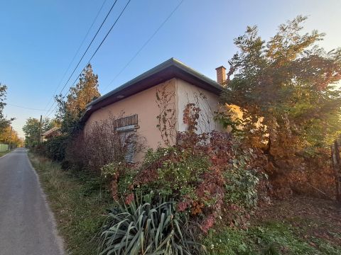 Eladó Ház 5430 Tiszaföldvár 