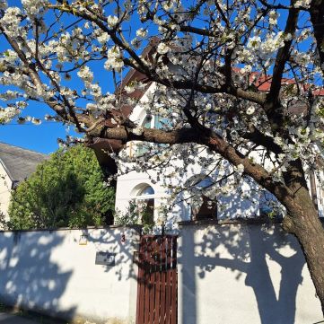 Eladó Ház 1185 Budapest 18. kerület Bajcsy- Zsilinszky utca2