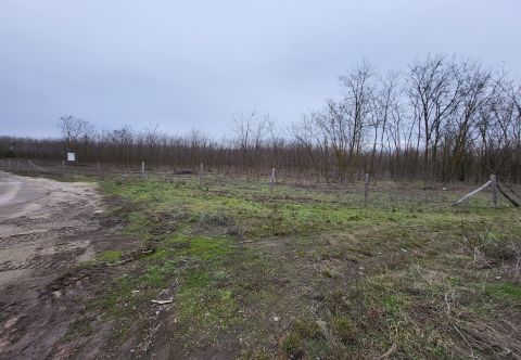 Eladó Telek 2373 Dabas , Dabas csendes, városszéli aszfaltozott utcája