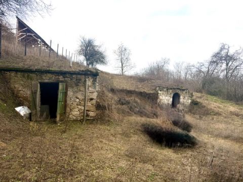 Eladó Telek 2065 Mány 