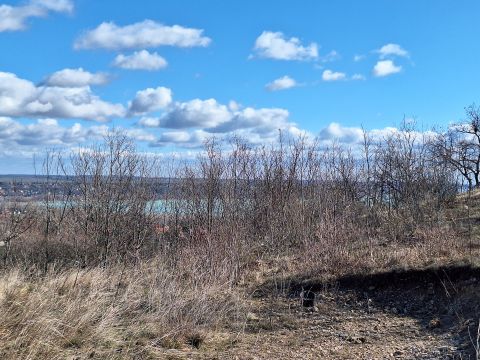 Eladó Telek 8220 Balatonalmádi , Csendes utcában