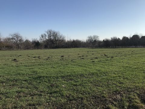 Eladó Telek 8154 Polgárdi , Művelési ág alól kivett zártkert