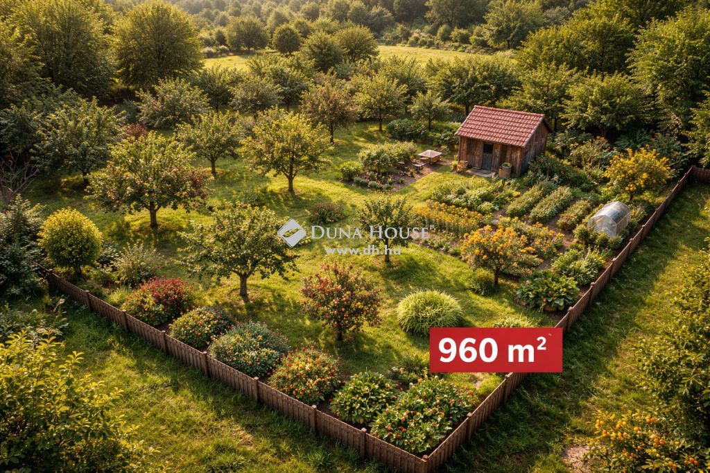4251 Hajdúsámson — 1/2