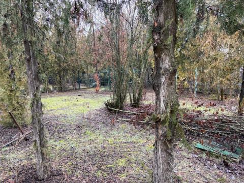 Eladó Telek 2310 Szigetszentmiklós , 2310 Szigetszentmiklós, Városközpont