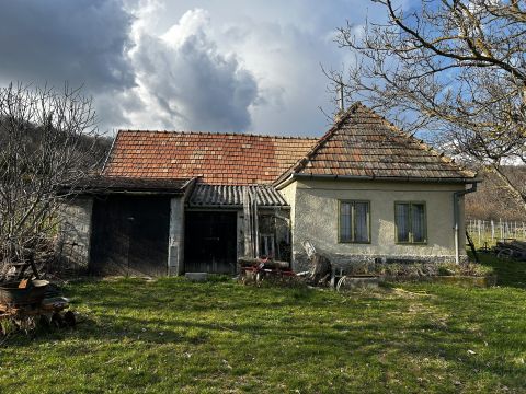 Eladó Telek 8245 Pécsely , Szőlőbirtok