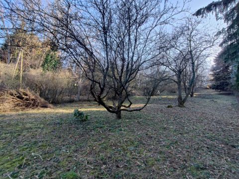 Eladó Telek 2021 Tahitótfalu 