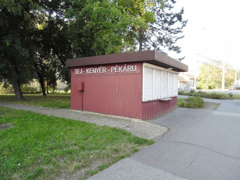 Kiadó Üzlethelyiség 4029 Debrecen 