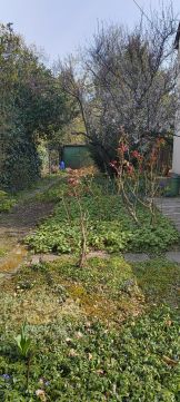 Eladó Lakás 1149 Budapest 14. kerület 