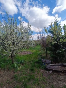 Eladó Telek 2049 Diósd , Ráchegy