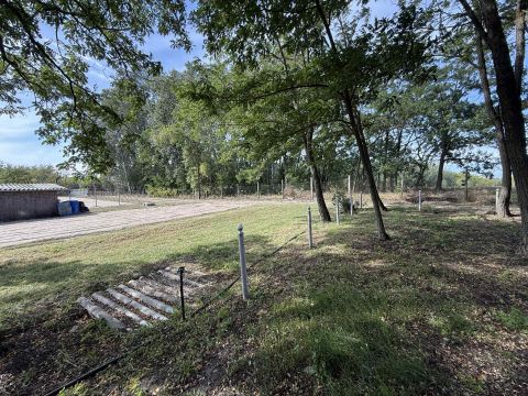 Eladó Telek 6050 Lajosmizse 7700 m2-es terület,fúrt kút,villany, újjáépíthető 65 m2 ház