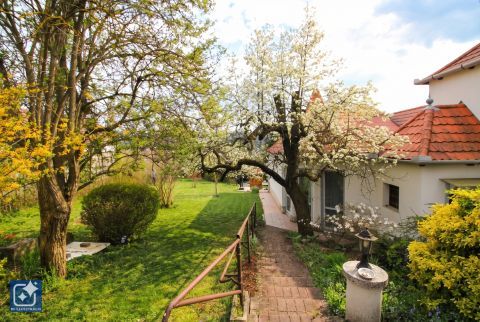 Eladó Ház 3246 Mátraderecske , KIVÉTELES hangulató,TORNYOS ház,akár vendégháznak is!