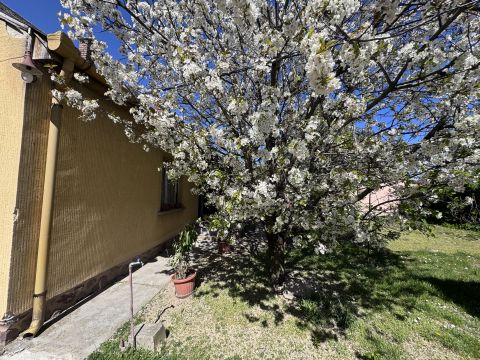 Eladó Ház 7400 Kaposvár 