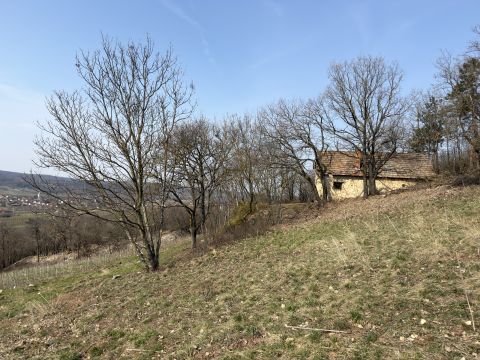 Eladó Telek 8272 Balatoncsicsó , Panorámás övezet