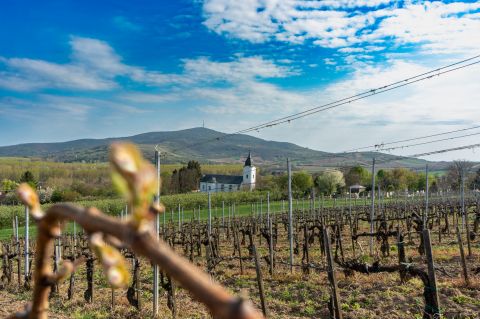 Eladó Mezőgazdasági 3916 Bodrogkeresztúr 