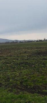 Eladó Telek 2013 Pomáz 