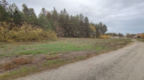 Eladó Telek 6076 Ágasegyháza 