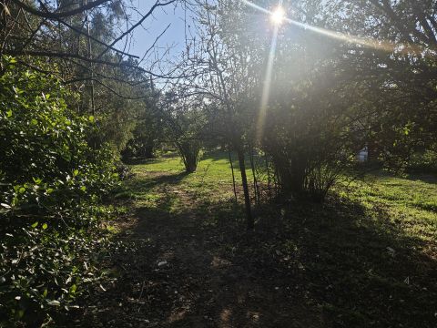 Eladó Telek 2163 Vácrátót 