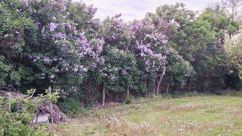 Eladó Ház 9144 Kóny , Béke utca